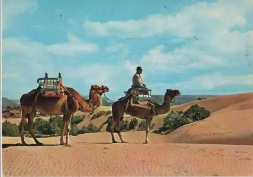 Spanien - Spanien - Maspalomas - Camellos en las dunas - 1976