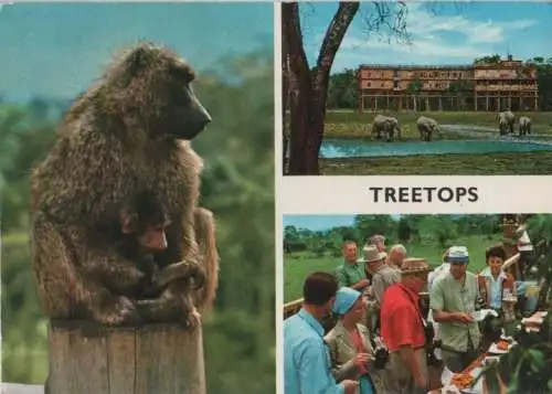 Kenia - Kenia - Aberdare-Nationalpark, Treetops Hotel - ca. 1980