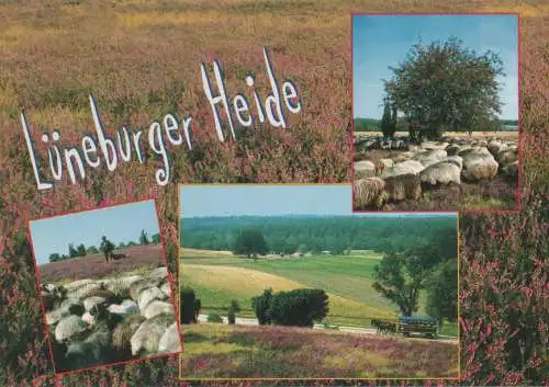 Lüneburger Heide - ca. 1995