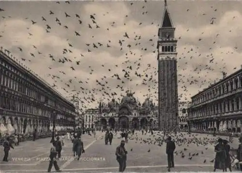 Italien - Italien - Venedig - Piazza S. Marco - Piccionata - ca. 1960