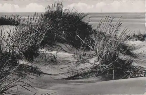 Sylt - Dünen am Strande - 1961