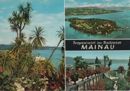 Mainau - mit 3 Bildern - 1966