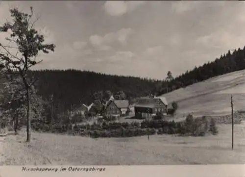 Erzgebirge - Hirschsprung - ca. 1955