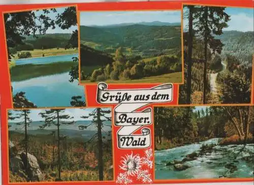 Bayerischer Wald - 6 Bilder