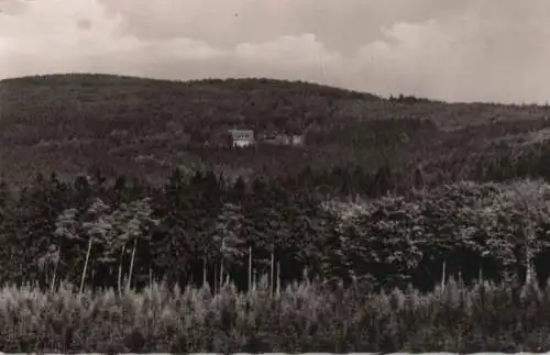 Hann. Münden - Naturfreundehaus am Steinberg - ca. 1955