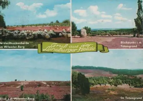 Lüneburger Heide - u.a. Blick a.d. Wilseder Berg - ca. 1975