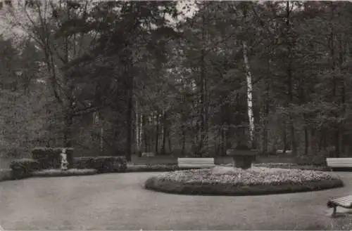 Bad Lausick - Im Kurpark - ca. 1965