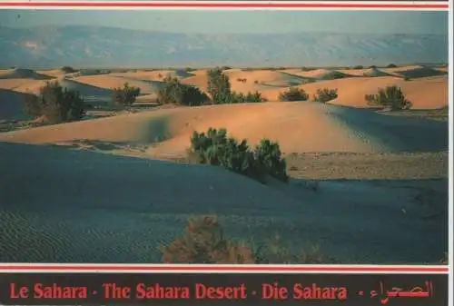 Tunesien - Tunesien - Sahara - ca. 1985