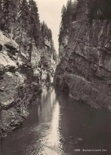 Breitachklamm - See