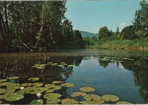 Italien - Italien - Iseo - Le Torbiere - 1979