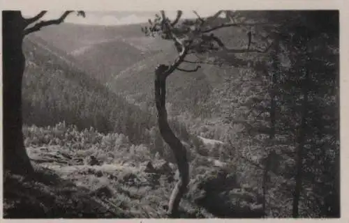 Tabarz - Blick vom Fuchsstein