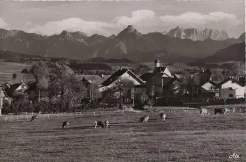 Oy - mit Blick auf Zugspitze - ca. 1960