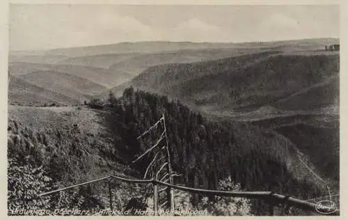 Braunlage (OT von Braunlage) - Blick von den Hahnenkleeklippen