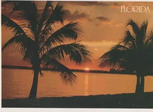 USA - USA, Florida - Beautiful sunset - 1993