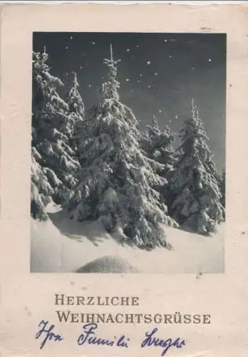 Herzliche Weihnachtsgrüße Winterwald