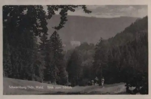 Schwarzburg - Blick zum Schloß - 1954