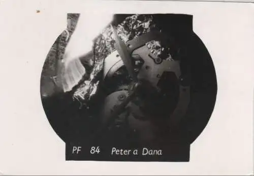 Peter a Dana PF 84