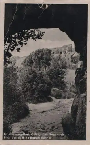 Blankenburg - Burgruine Regenstein - 1959