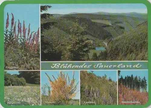 Winterberg - Bühendes Sauerland - 1982