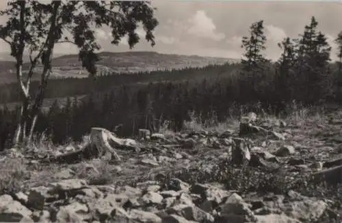 Altenberg-Kipsdorf - Blick vom Tellkoppe - 1961