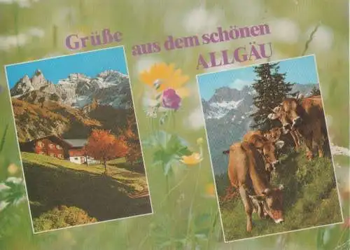 Allgäu - mit 2 Bildern - 1999