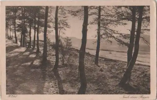 Nach dem Regen - ca. 1935