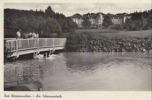 Bad Hermannsborn (OT von Bad Driburg) - Schwanenteich