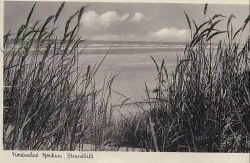 Borkum - Meerblick