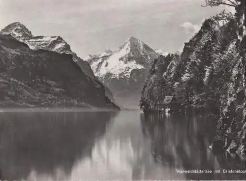 Schweiz - Vierwaldstättersee - Schweiz - mit Bristenstock