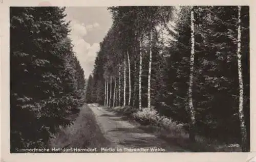 Halsbrücke-Hetzdorf - Herrndorf, Partie im Tharandter Walde - 1955