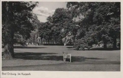 Bad Driburg - Im Kurpark - ca. 1960