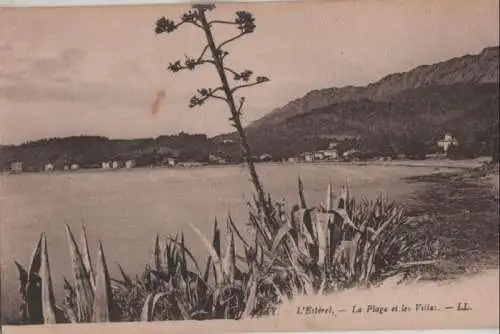 Frankreich - Frankreich - Esterel - La Plage et les Villas - 1919