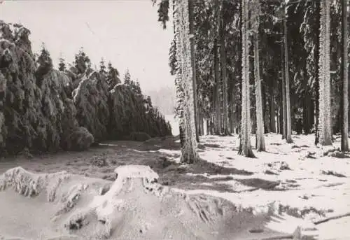 Frohe Weihnachten und ein gesunden neues Jahr - 1983