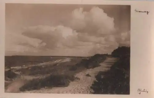 Dünenweg am Meer