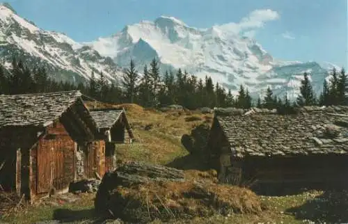 Schweiz - Schweiz - Jungfrau - ca. 1965