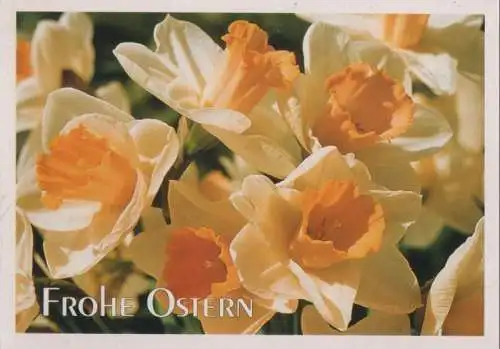 Frohe Ostern Blumen