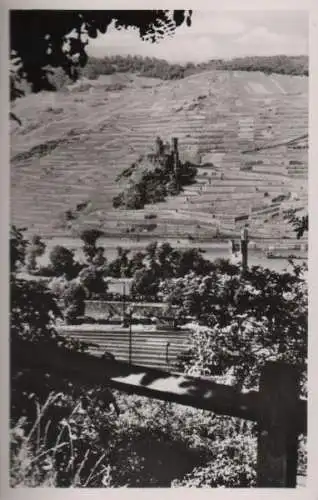 Rüdesheim, Ruine Ehrenfels - ca. 1960