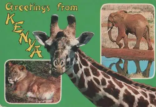 Kenia - Kenia - Greetings from Kenya - ca. 1975