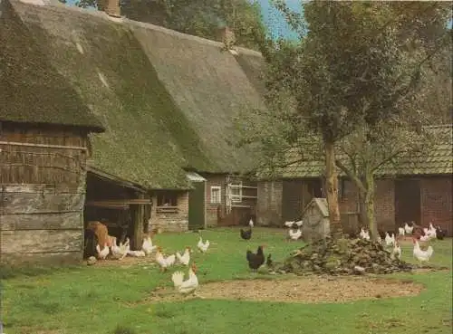 Niederlande - Drenthe - Niederlande - Bauernhof