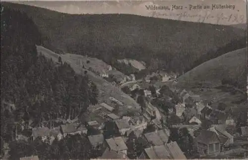 Wildemann - Partie am Hüttenberg - 1922