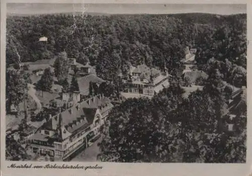 Harzgerode-Alexisbad - vom Birkenhäuschen gesehen - ca. 1955