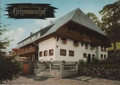 Hinterzarten - Heizmannshof