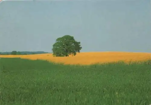 Landschaft grün und gelb