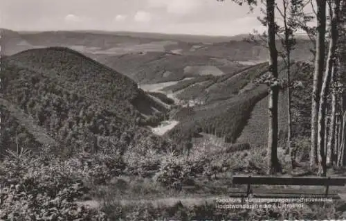 Fleckenberg b. Schmallenberg - Jagdhaus - 1955