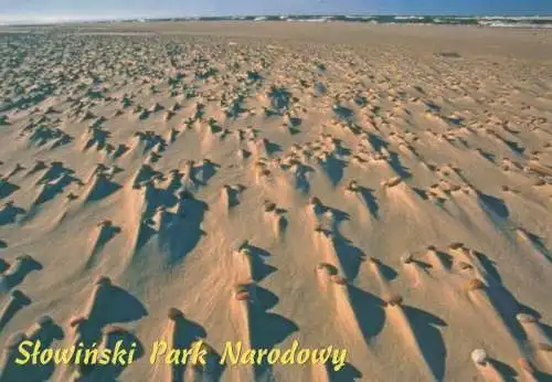 Polen - Slowinski Park Narodowy - Polen - Landschaft