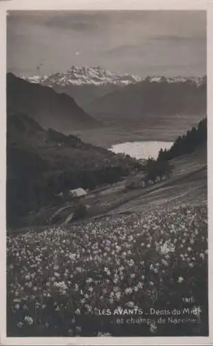 Schweiz - Schweiz - Les Avants - Dents du Midi - ca. 1950