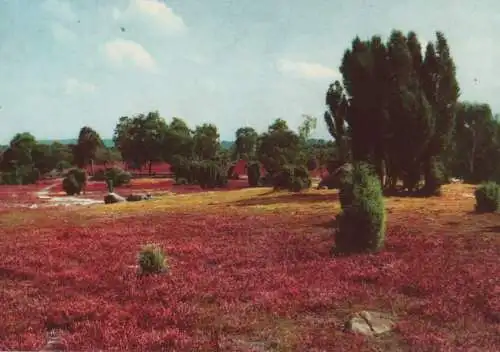 Lüneburger Heide - ca. 1980