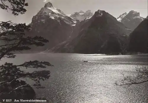 Schweiz - Vierwaldstättersee - Schweiz - mit Gebirge