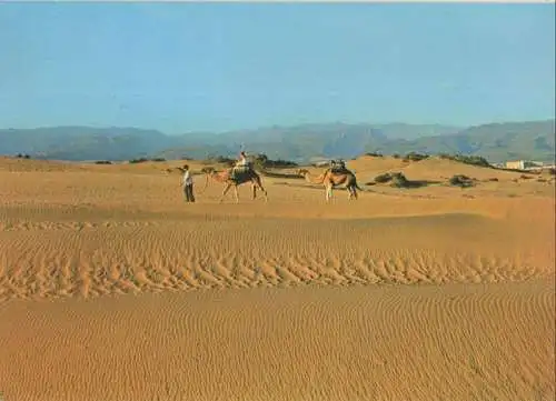 Spanien - Maspalomas - Spanien - Dunas