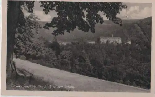 Schwarzburg - Blick zum Schloß - 1955